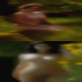 Sex Elberton